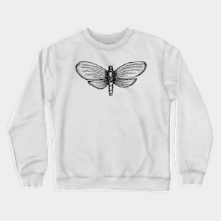 A funny squeak Moth Crewneck Sweatshirt